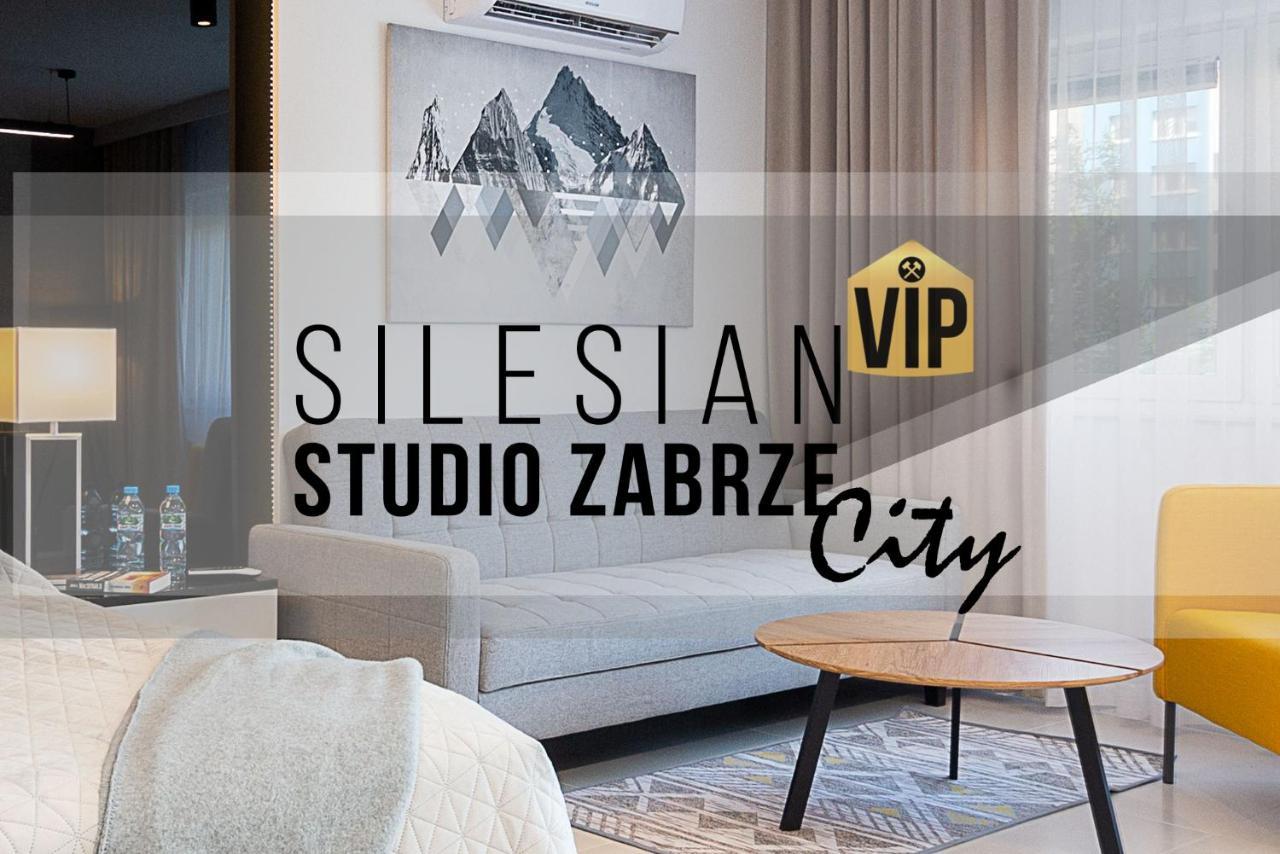 זברזה Studio Silesian Vip City Centrum Free Parking מראה חיצוני תמונה